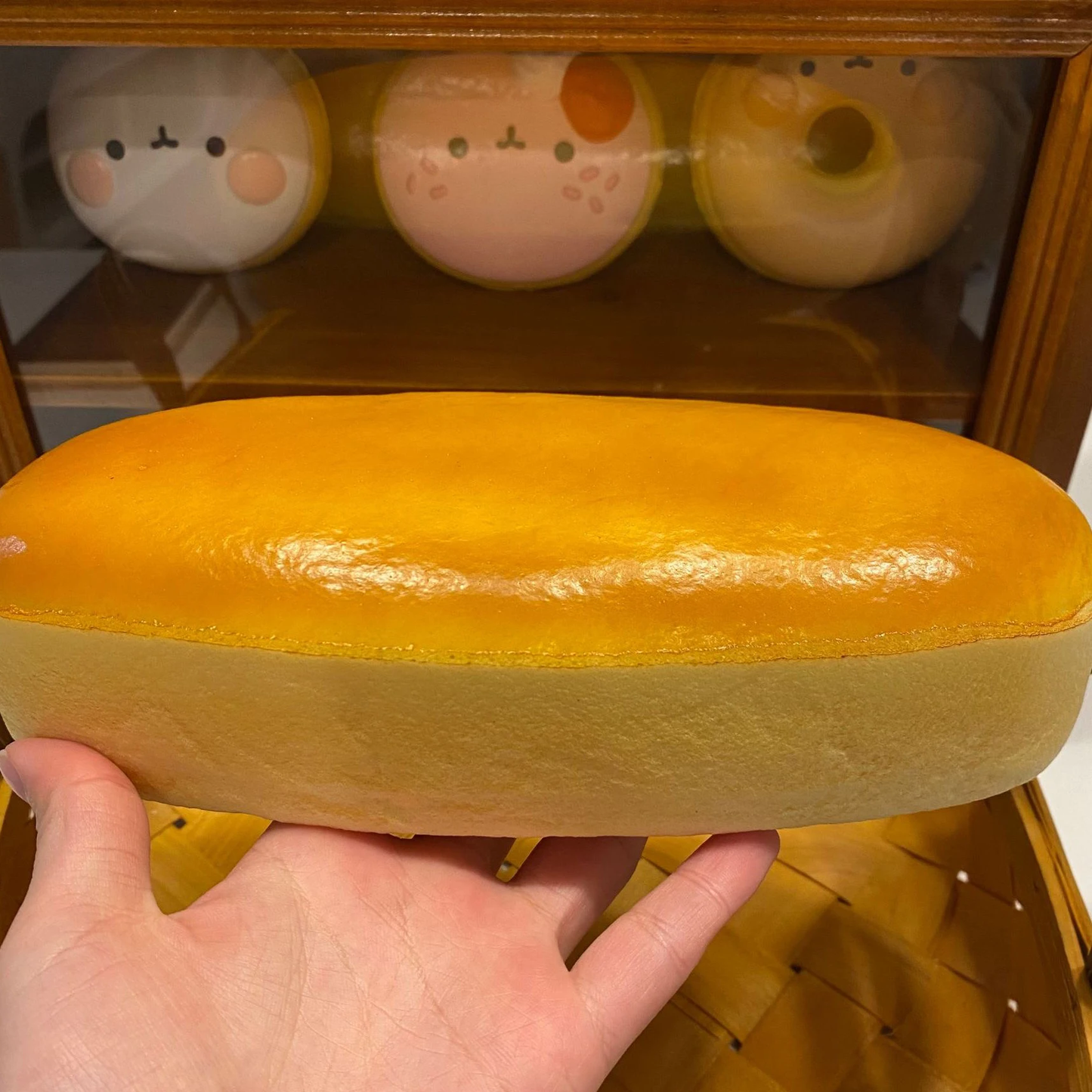 Long Cheesecake Squishy
