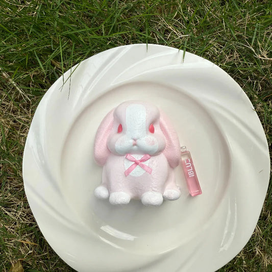 Pink Bunny Taba Squishy